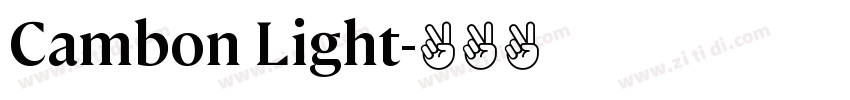 Cambon Light字体转换